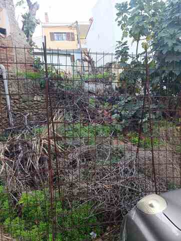 Φωτογραφία 3